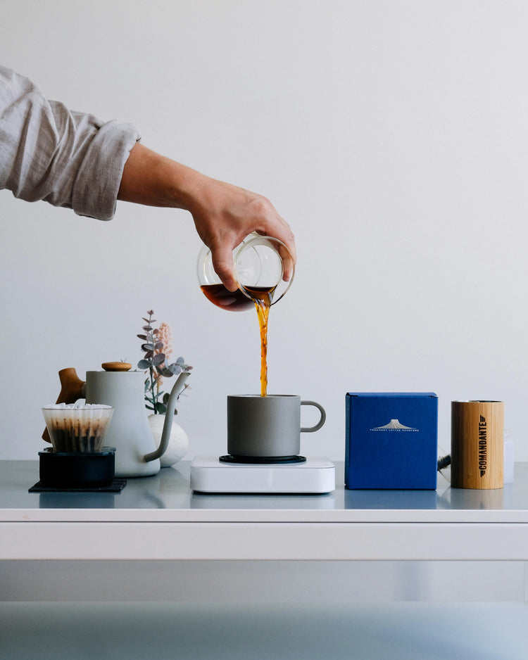 Barista Basics